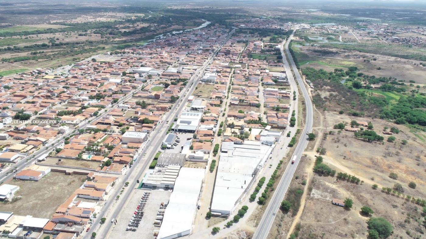 Depósito-Galpão-Armazém para alugar, 6000m² - Foto 3