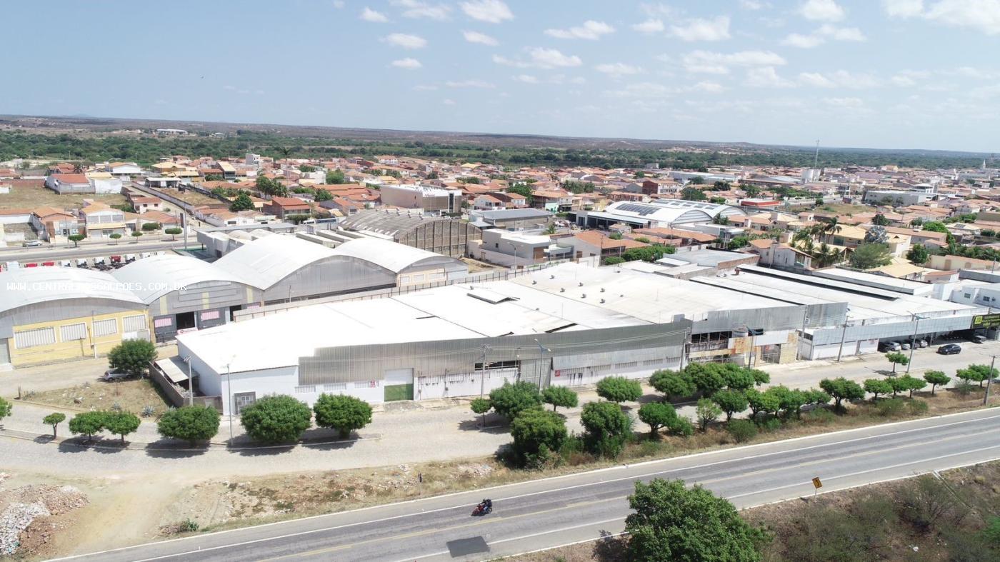 Depósito-Galpão-Armazém para alugar, 6000m² - Foto 4